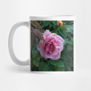 The big pink rose Mug